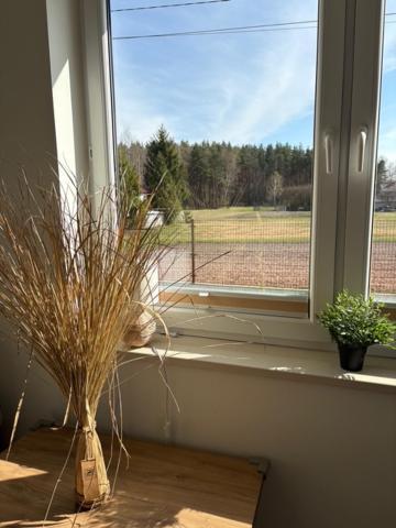 Apartment Na Wzgorzu Boho 1- Jacuzzi, Sauna, Survival, Free Parking Zagnansk